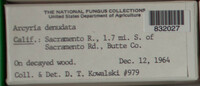 Image Associated With the Occurence